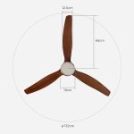 Brizy Bright Dark Wood - Image 9